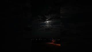 Disenchanted - My Chemical Romance (Lyrics + speed up)