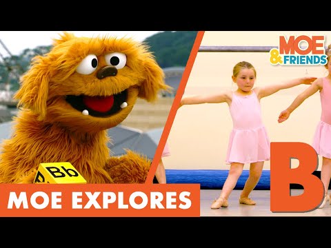 Moe Explores the Letter B | Ballet, Bus & Baby | Full Episodes | Moe & Friends | The Moe Show