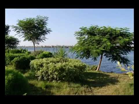 شاهد جمال وروعة الطبيعة الساحرة بالمجد 