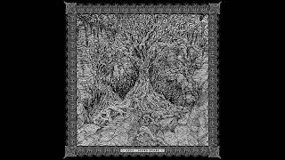 Alder Glade/Arna (Full Split)