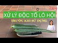 #209. XỬ LÝ ĐỘC TỐ LÔ HỘI (nha đam) TRƯỚC KHI DÙNG