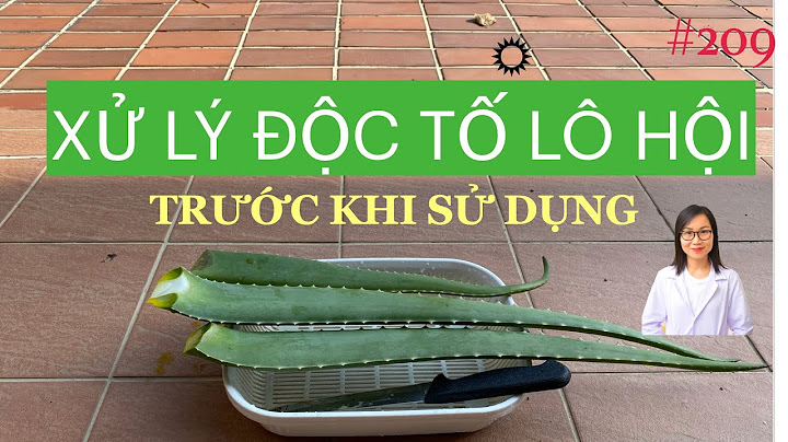 #209. XỬ LÝ ĐỘC TỐ LÔ HỘI (nha đam) TRƯỚC KHI DÙNG