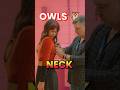 Last Move Shocked Everyone ( OWL) 🦉 🤫😶#shorts #shortvideo
