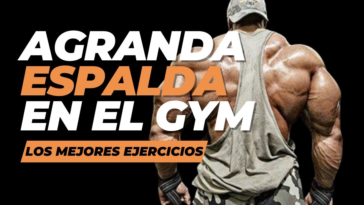 LOS MEJORES EJERCICIOS PARA AGRANDAR ESPALDA Y PERFECCIONAR LA RUTINA ...