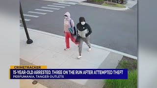 Teen charged in connection with Tanger theft