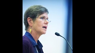 Are city staff like Sarah Flax simply following orders of Daniel Biss?