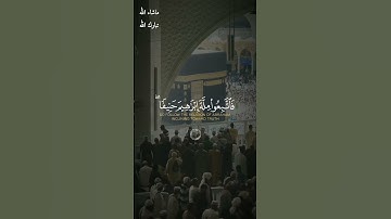 قُلْ صَدَقَ اللَّهُ ۗ فَاتَّبِعُوا مِلَّةَ إِبْرَاهِيمَ حَنِيفًا /القارئ ابراهيم شرف ابوطالب