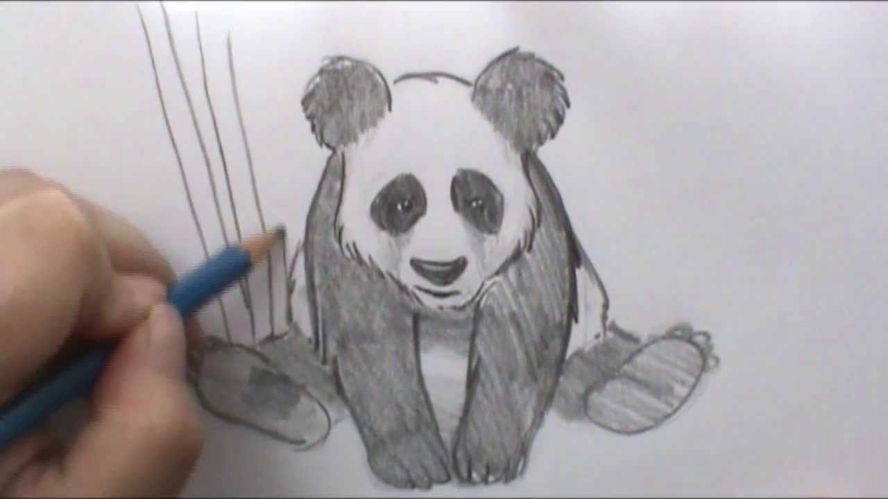 Featured image of post Panda Drawing Easy Realistic / A panda looks like a bear with a black and white color.