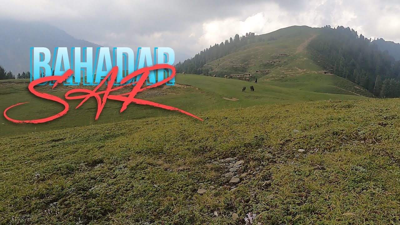 BAHADAR SAR | SHANGLA | Natural Green Carpet