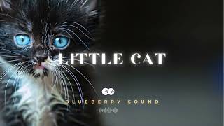 Little cat / Tropical & Progressive House Techno