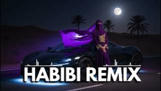 🎧 Habibi Aurora – Ethnic Deep Fusion 2025 | Midnight Chill & Luxury Beats
