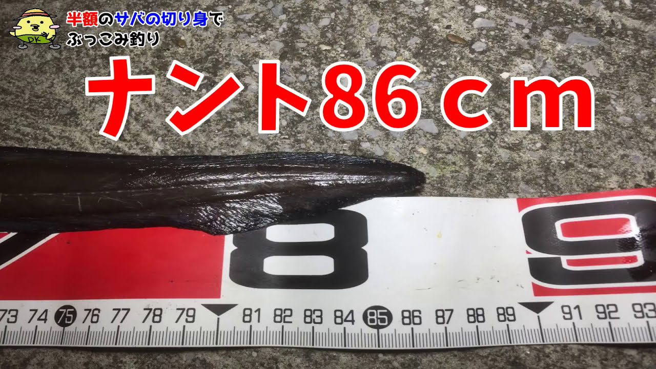 半額のサバの切り身でぶっこみ釣り Dk釣り日記 Thewikihow