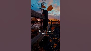 سورة المائدة الآية74_Surah Al-Ma'idah🍃🌷🍀