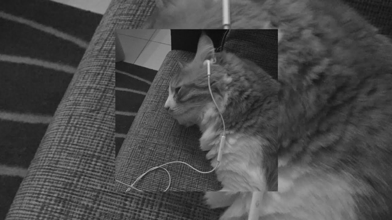 MIKIRIN SIAPA SIHH?- [SLOWED INDO VERSION]