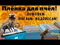 Плёнка вместо холстика пчёлам!