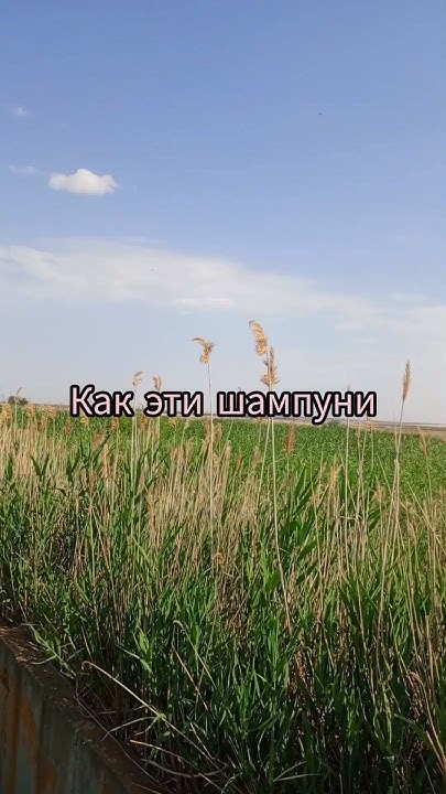 песня:Монеточка - Селфхарм - YouTube