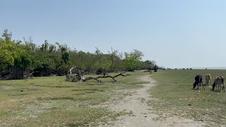 The Beautiful View of Char Kukri Mukri with Nature Orginal Sound