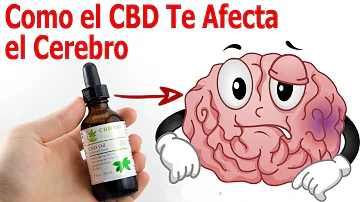 ¿Puede ayudar el aceite de CBD tras un derrame cerebral?