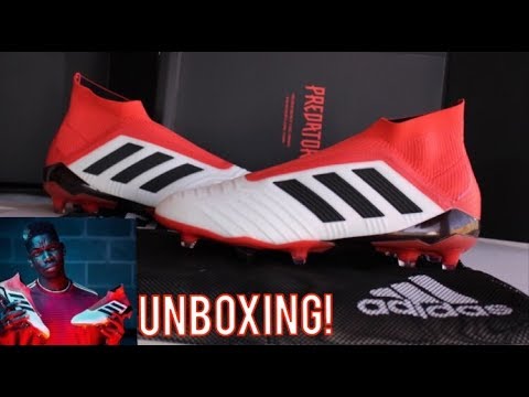 adidas predator warm blooded