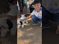 Cuteness in one frame #shorts #viral #trending #youtubeshorts