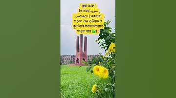 সূরা আল-ইখলাস( سورة الإخلاص)এর ফজিলত✅‼️ #islamicstatus #foryou #trending #hadisbangla #ওয়াজ_মাহফিল