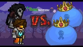Overwatch Heroes In Terraria! | Character Download