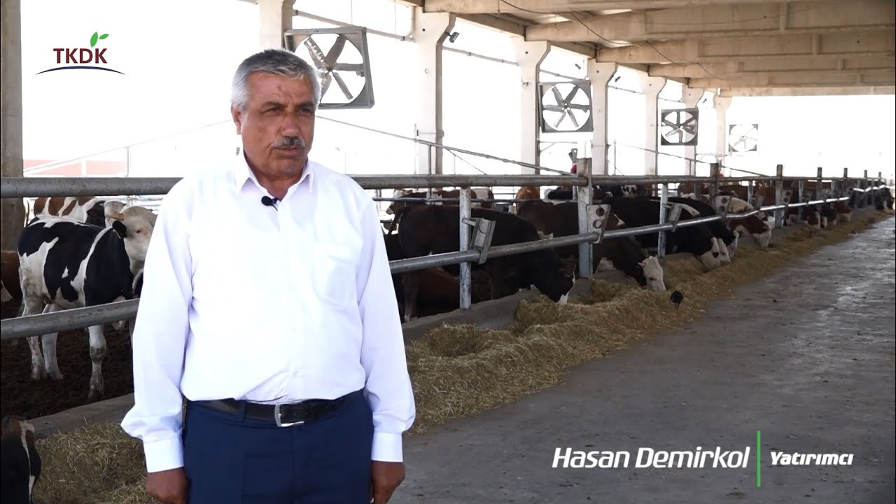 Şanlıurfa'da örnek besi çiftliği açtı