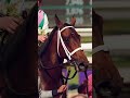 Idiomatic is the 2023 Longines #BreedersCup Distaff Champion. 🌟