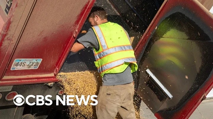 Iowa farmers' incomes to decline amid trade war, no farm bill allocations, report finds