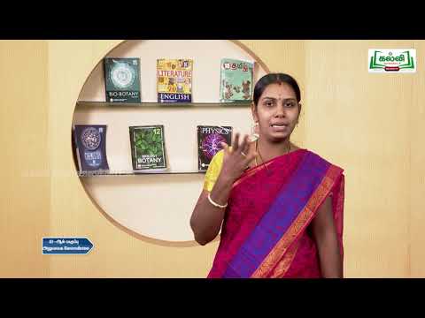 Class 12 | Thadaiyum vidaiyum | Office Management and Secretaryship| Chapter 10 | KlviTv