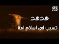 الهدهد التى تسبب فى اسلام امة بدر المشاري 