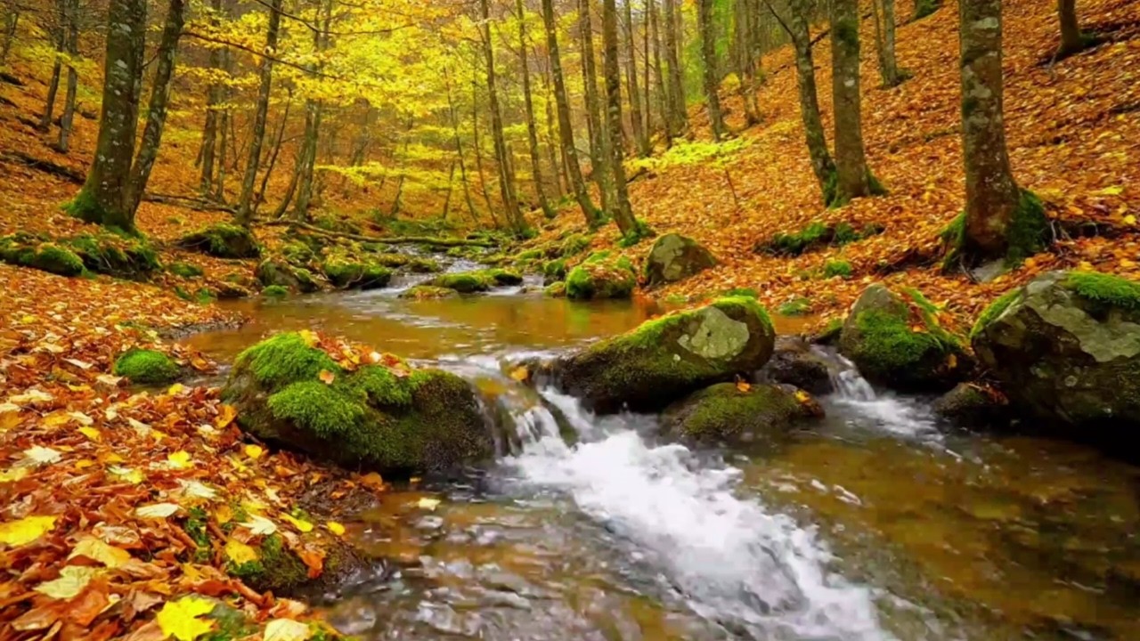 PURE RIVER FLOW SOUNDS FOR SLEEPING FAST, RELAXATION, STUDY AND ...