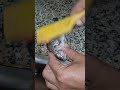أشغال يدوية اصنعها بنفسك حرفي فيديو قصير صناعة يدوية أشغال يدوية اصنعها بنفسك حرفي فيديو قصير صناعة يدوية