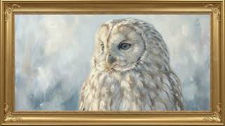Winter Owl in Quiet Snow | 2 Hours No Music | TV Art Screensaver 4K screenshot 3