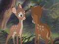 Bambi And Faline Through Your Eyes