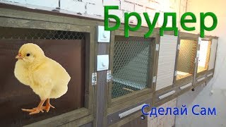 Брудер для цыплят своими руками. Весь процесс изготовления. ЕвроФерма