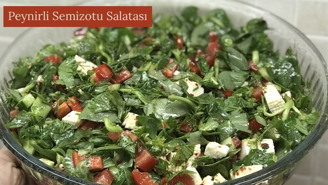 Domatesli Semizotu Salatası Tarifi Videosu Domatesli Semizotu Salatası Tarifi Videosu