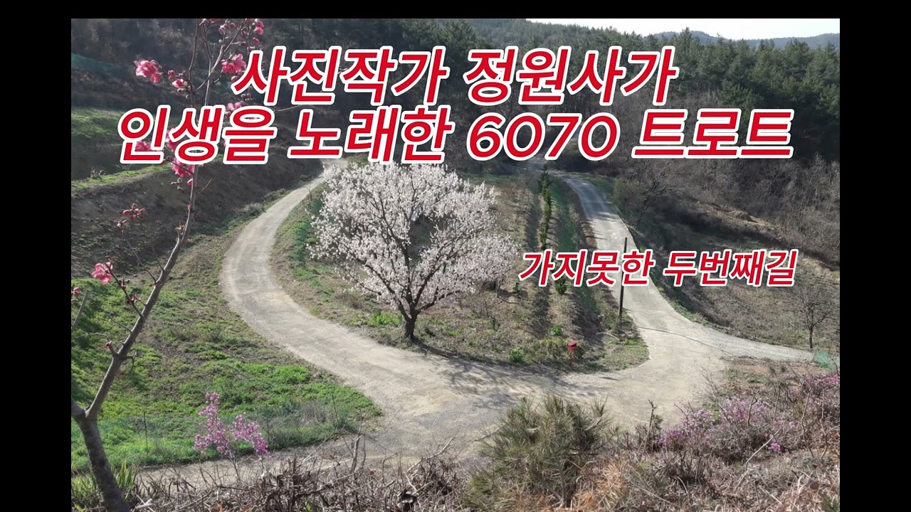 가지못한두번째길