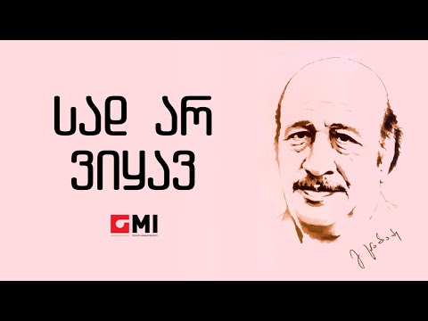 მერი შილდელი -  სად არ ვიყავ /  Meri Shildeli - Sad Ar Vikhav