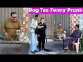 Tasleem Abbas and Soni New || Dog Tex Prank | @TasleemAbbasOfficial ​