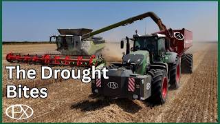 Combining the Beans in a Drought, and Why Our Yields Are Down