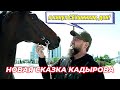 Кадыров придумал новую версию возвращения своего коня