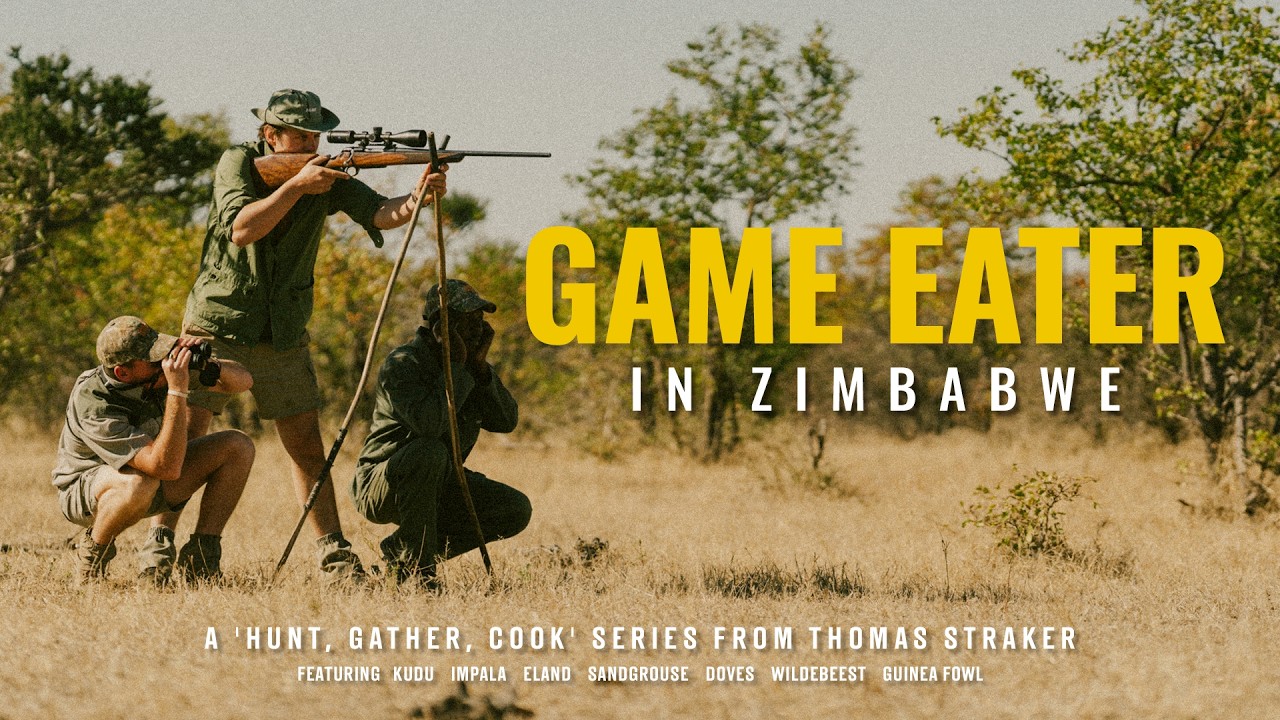 Трейлер | Game Eater в Зимбабве (с участием куду, антилопы канна, цесарки и импала)