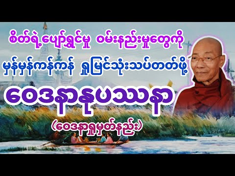ဝေဒနာနုပဿနာ(ဝေဒနာရှုမှတ်နည်း) ပါချုပ်ဆရာတော် @dhammasitala