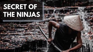 Secrets of the Ninjas | Ninjai Unofficial