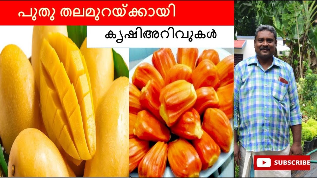 പുതു തലമുറയ്ക്കായി കൃഷി അറിവുകൾ