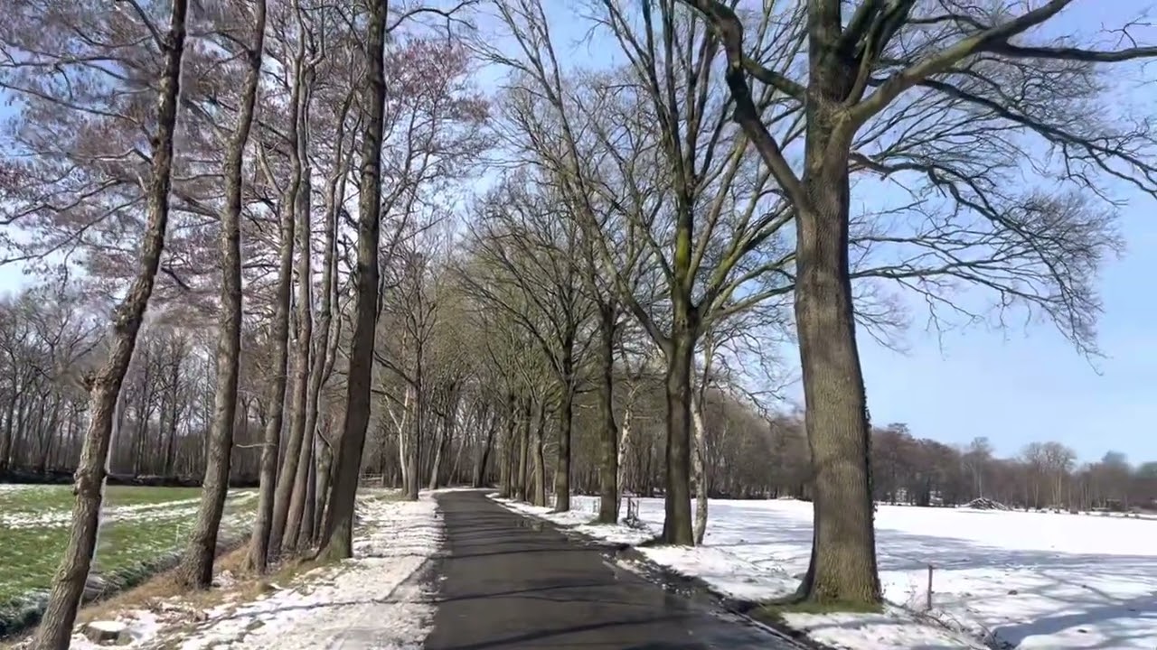 اجواء الشتاء في هولندا♥️