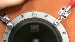 丹麥丹拿汽車音響~找5cgo.com就對了