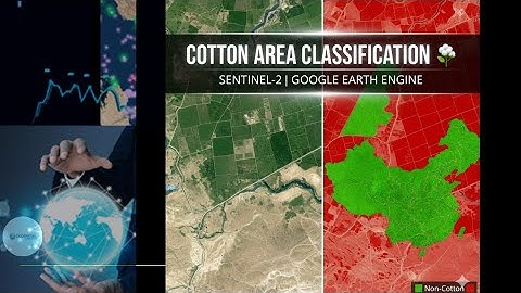 Cotton Area Classification using Sentinel-2 in Google Earth Engine | NDVI & Random Forest Tutorial