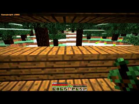 Minecraft Hardcore #4